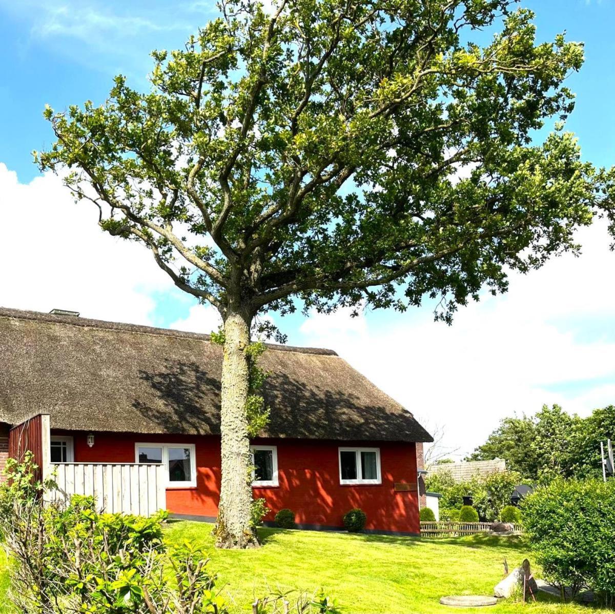 Haus Hanna Dagebüll Eksteriør billede